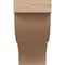 Ekena Millwork 9"W x 18"D x 18"H Classic Garner Rough Cedar Woodgrain TimberThane Corbel, Primed Tan CORUR09X18X18GARRCPR - alternate 4